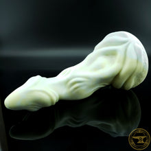 Load image into Gallery viewer, *|BLACK FRIDAY|* Large Halichoer, Soft 00-30 Firmness, Castaways, 4159