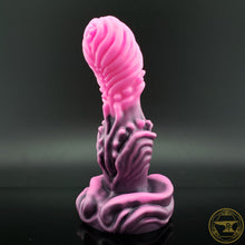 Load image into Gallery viewer, |SOLD OUT| Medium Bromelia, Medium 00-50 Firmness, PIIIIINK, 6736
