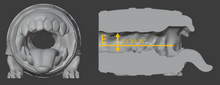 Load image into Gallery viewer, *|7/10|* Mimic Style E, Super Soft 00-20 Firmness, Wild Magic, 0024E
