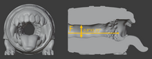 Load image into Gallery viewer, *|7/10|* Mimic Style F, Super Soft 00-20 Firmness, Wild Magic, 0024F
